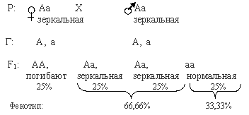 l3.gif