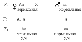 l3a.gif