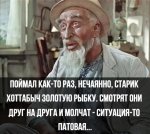 8446226-e4155009ae5b86dce390209b3d4752e0.jpg