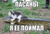 121.jpg