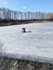 Вредители на наших водоёмах и средства борьбы. - e703ac98-187a-4854-a2b0-7131ce0ae571.jpeg