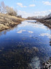 Вредители на наших водоёмах и средства борьбы. - fa47e2b1-0e2a-4da2-b064-afba2b18bc40.jpeg