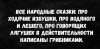 грибы.jpg