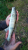 IMG_9840.jpeg