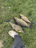 IMG_8083.jpeg