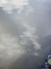 1787654437450.jpg