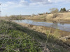 IMG_7186.jpeg