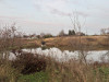 IMG_9510.jpeg