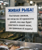 Рыбоводство.png