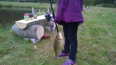 Беседка - WP_20160917_001.jpg
