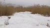 DSC_000001.JPG