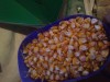 Мой пруд  - DSC_0003.jpg