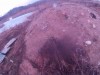 Гравий привезли еще прошлой весной, но все руки не доходили. - 02460013.JPG
