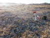 пруд 3 га - превращение из поля в водоем Или как бобры помогли в этом - PB180028.JPG (451.81 КБ) 7392 просмотра пруд 3 га - превращение из поля в водоем Или как бобры помогли в этом - PB180028.JPG