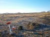 пруд 3 га - превращение из поля в водоем Или как бобры помогли в этом - PB180029.JPG (341.4 КБ) 7392 просмотра пруд 3 га - превращение из поля в водоем Или как бобры помогли в этом - PB180029.JPG