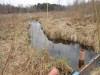 Мой первый опыт подготовки производителей карпа и инкубации их икры. Отчет онлайн. - DSCN1748[1].JPG