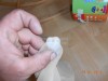DSCN1813.JPG