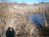 пруд 3 га - превращение из поля в водоем Или как бобры помогли в этом - P3140112.JPG (420.43 КБ) 7392 просмотра пруд 3 га - превращение из поля в водоем Или как бобры помогли в этом - P3140112.JPG
