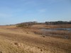 пруд 3 га - превращение из поля в водоем Или как бобры помогли в этом - SAM_2612.JPG (191.19 КБ) 7422 просмотра пруд 3 га - превращение из поля в водоем Или как бобры помогли в этом - SAM_2612.JPG