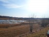 пруд 3 га - превращение из поля в водоем Или как бобры помогли в этом - SAM_2614.JPG (181.98 КБ) 7422 просмотра пруд 3 га - превращение из поля в водоем Или как бобры помогли в этом - SAM_2614.JPG