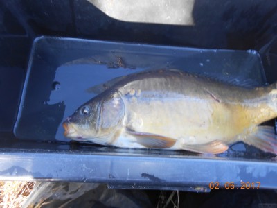 DSCN1889.JPG