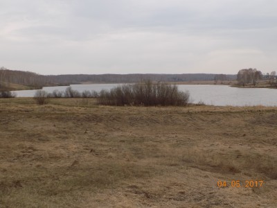 Получение земель под создание водоема - DSCN0419.JPG