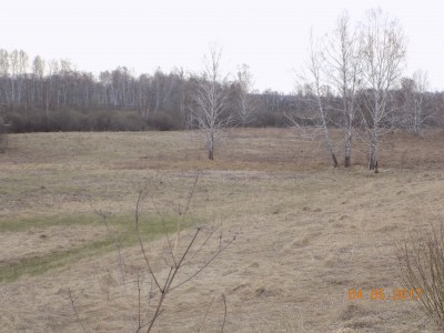 Получение земель под создание водоема - DSCN0433.JPG