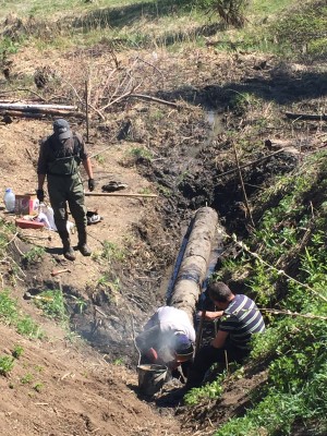 Тамбовская область, старый пруд 0.76 га. Востановление - IMG_8101.JPG