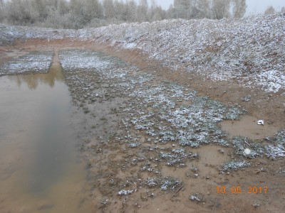 Ужасные берега нерестовика : - DSCN1944.JPG (309.22 КБ) 4645 просмотров Ужасные берега нерестовика : - DSCN1944.JPG