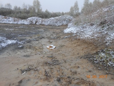 Малявочник, где черти скакали - DSCN1948.JPG (317.16 КБ) 4645 просмотров Малявочник, где черти скакали - DSCN1948.JPG