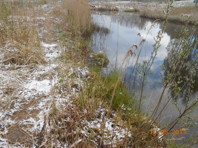 Линия прибоя основного 6 га. - DSCN1962.JPG (387.16 КБ) 4645 просмотров Линия прибоя основного 6 га. - DSCN1962.JPG