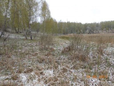 Берег 6 га. - DSCN1967.JPG (342.67 КБ) 4645 просмотров Берег 6 га. - DSCN1967.JPG