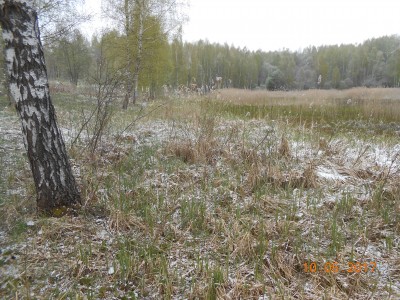 Берег 6 га. - DSCN1968.JPG (393.09 КБ) 4645 просмотров Берег 6 га. - DSCN1968.JPG