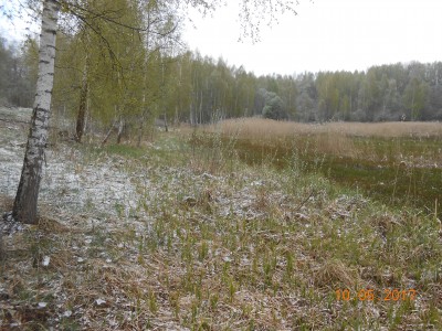 Берег 6 га. - DSCN1969.JPG (360.38 КБ) 4645 просмотров Берег 6 га. - DSCN1969.JPG