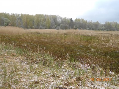 Ковер из травы на 6 га. - DSCN1970.JPG (323.57 КБ) 4645 просмотров Ковер из травы на 6 га. - DSCN1970.JPG