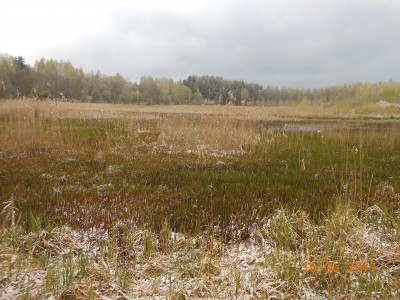 Ковер из травы на 6 га. Уровень ан 40 см ниже номинаьного, воды уже не видно. Зато видно, сколкьо травы. - DSCN1971.JPG (304.73 КБ) 4645 просмотров Ковер из травы на 6 га. Уровень ан 40 см ниже номинаьного, воды уже не видно. Зато видно, сколкьо травы. - DSCN1971.JPG