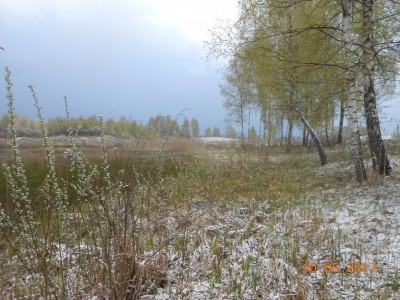 берег 6 га - DSCN1973.JPG (288.89 КБ) 4645 просмотров берег 6 га - DSCN1973.JPG