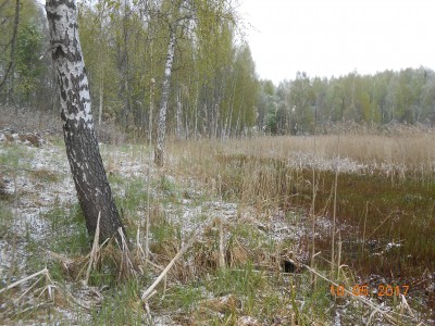 берег 6 га - DSCN1974.JPG (367.13 КБ) 4645 просмотров берег 6 га - DSCN1974.JPG