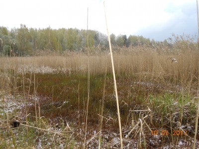 берег 6 га - DSCN1975.JPG (312.34 КБ) 4645 просмотров берег 6 га - DSCN1975.JPG