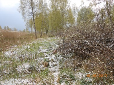 берег 6 га.Кучи лежат, сохнут и ждут, когда их сожгу. - DSCN1978.JPG (436.68 КБ) 4645 просмотров берег 6 га.Кучи лежат, сохнут и ждут, когда их сожгу. - DSCN1978.JPG