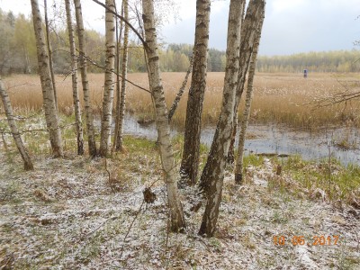 берег 6 га - DSCN1979.JPG (402.13 КБ) 4645 просмотров берег 6 га - DSCN1979.JPG