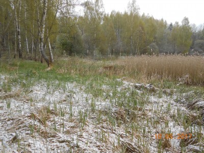берег 6 га - DSCN1981.JPG (382.66 КБ) 4645 просмотров берег 6 га - DSCN1981.JPG