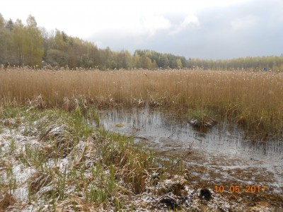 берег 6 га - DSCN1982.JPG (266.03 КБ) 4645 просмотров берег 6 га - DSCN1982.JPG