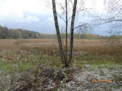 берег 6 га - DSCN1984.JPG (339.45 КБ) 4645 просмотров берег 6 га - DSCN1984.JPG