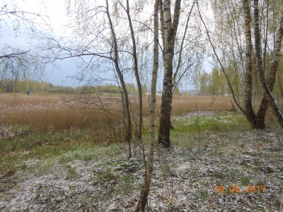 берег 6 га - DSCN1985.JPG (420.43 КБ) 4645 просмотров берег 6 га - DSCN1985.JPG