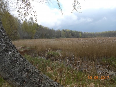 берег 6 га - DSCN1986.JPG (278.55 КБ) 4645 просмотров берег 6 га - DSCN1986.JPG