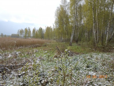 Берег 6 га - DSCN1990.JPG (367.08 КБ) 4645 просмотров Берег 6 га - DSCN1990.JPG