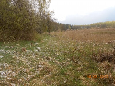 Берег 6 га. - DSCN1994.JPG (342.9 КБ) 4645 просмотров Берег 6 га. - DSCN1994.JPG