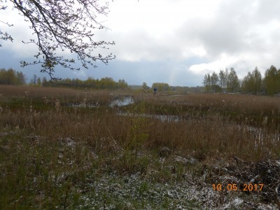 Берег 6 га - DSCN1995.JPG (255.74 КБ) 4645 просмотров Берег 6 га - DSCN1995.JPG