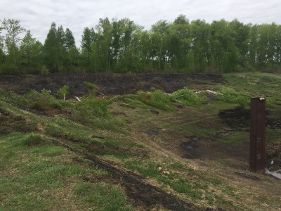 Тамбовская область, старый пруд 0.76 га. Востановление - IMG_8128.JPG (282.6 КБ) 3860 просмотров Тамбовская область, старый пруд 0.76 га. Востановление - IMG_8128.JPG